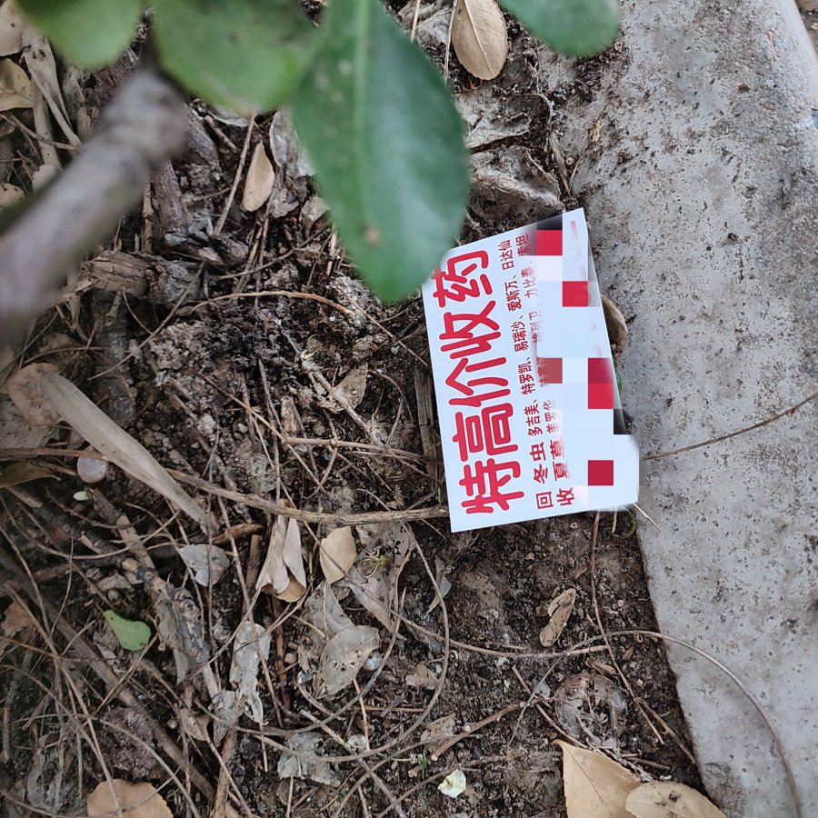 24小时医保取现回收商家(24小时医保取现回收商家微信) 24小时医保取现回收商家(24小时医保取现回收商家微信)