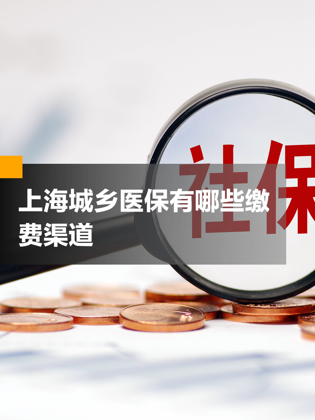 汉中上海市医保(上海市医保局官网)